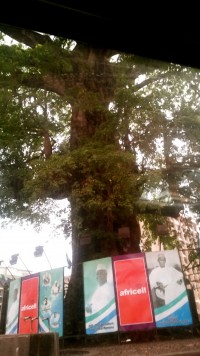 Géén Kiekies nie….Sierra&nbsp;Leone