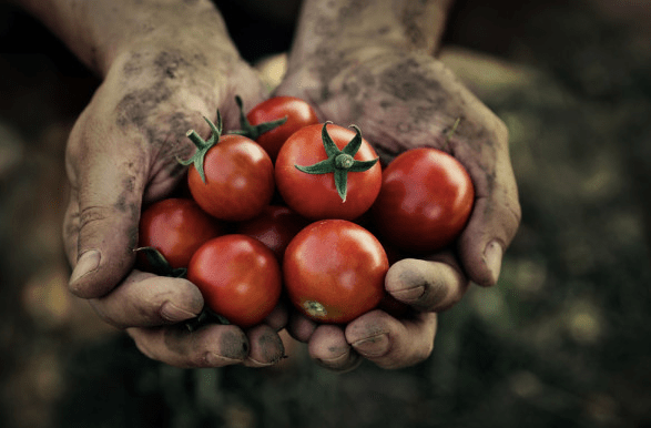 African Traditions are all&nbsp;Different