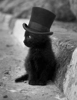 Dank die Vader vir Internet&nbsp;Katties…