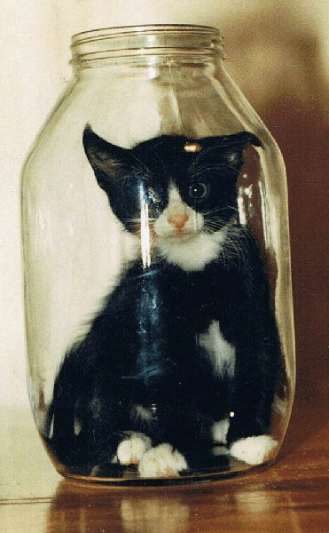 Nuuskierigheid het jou ingekry - en nou?