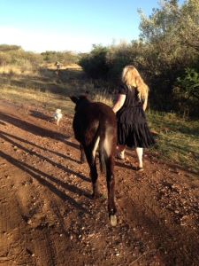 Stap met diere  op die plaas - goete wat ek mis.