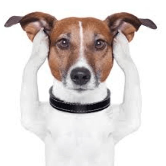 Hulle praat eenvoudig net te veel nonsense