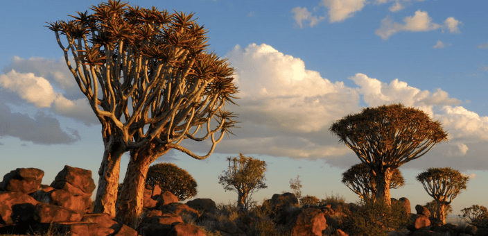 Screenshot 2016-03-08 22.10.25.png