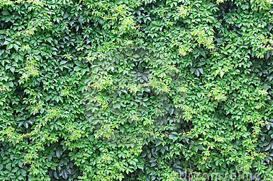 Screenshot 2016-03-08 22.19.56