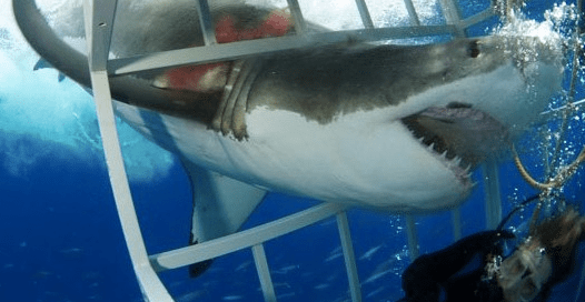 Screenshot 2016-03-09 23.01.50.png