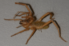 Screenshot 2016-03-09 23.49.08.png