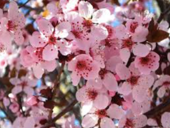 Screenshot 2016-04-10 18.43.40