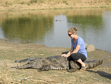 Screen Shot 2018-01-22 at 11.13.07