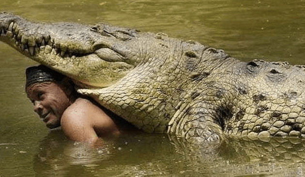 Screen Shot 2018-01-22 at 12.04.32