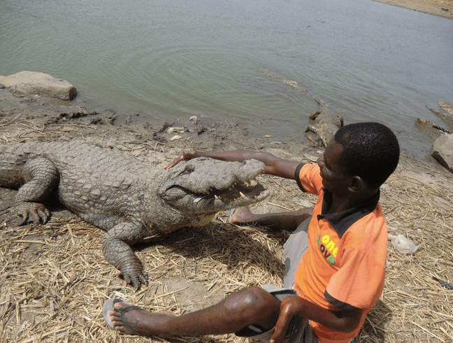 Screen Shot 2018-01-22 at 12.17.24