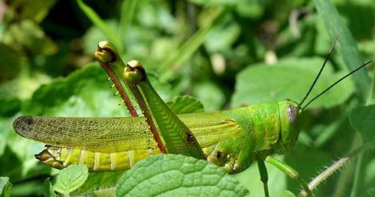 Screen Shot 2018-03-17 at 17.24.24