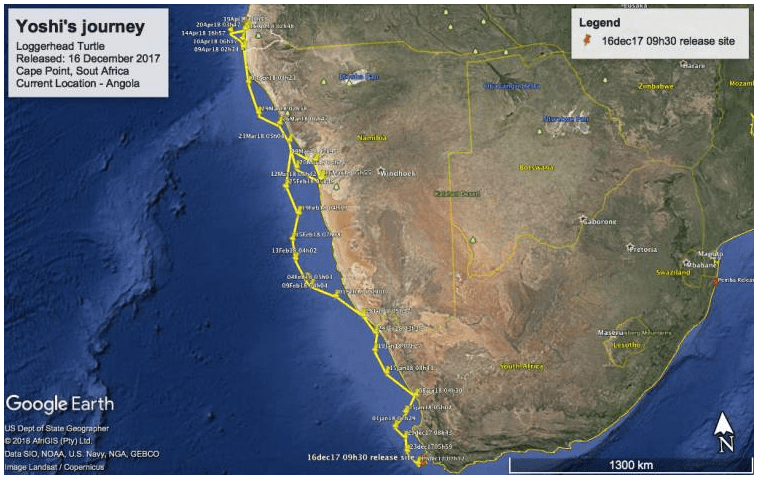 Screen Shot 2018-04-28 at 09.46.25