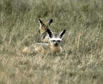 Screen Shot 2018-04-28 at 11.19.04